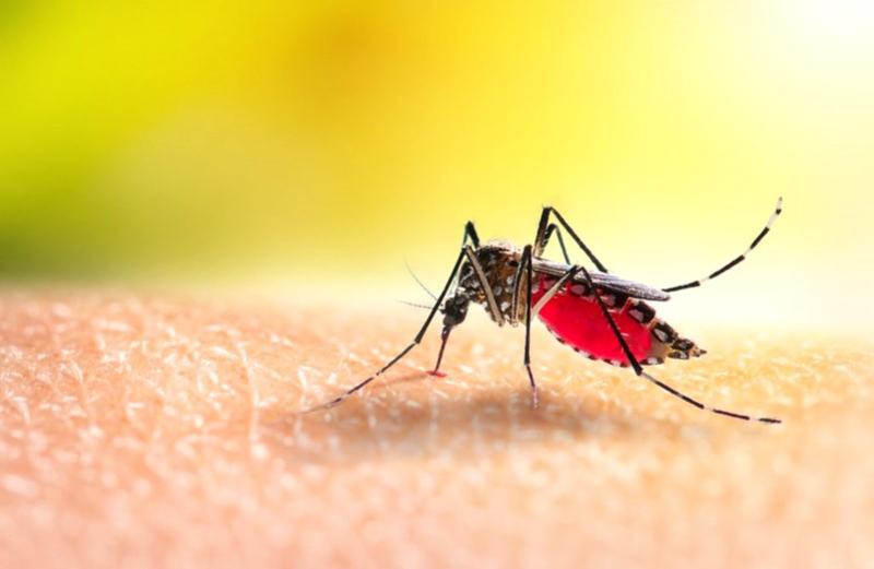 MPPR emite recomendação aos Municípios da comarca de Goioerê para que intensifiquem as medidas de combate à dengue