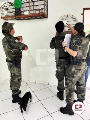 Polícia Ambiental desencadeou operação em Goioerê, Moreira Sales e Quarto Centenário