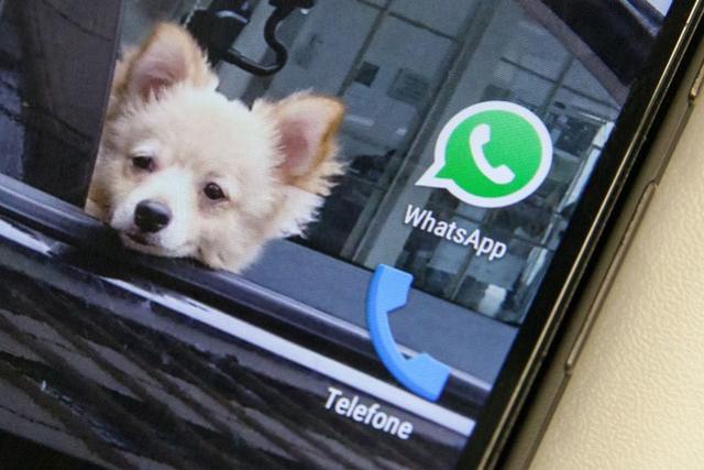 WhatsApp limita reenvio de mensagens a 1 destinatrio por vez em meio  crise do novo coronavrus