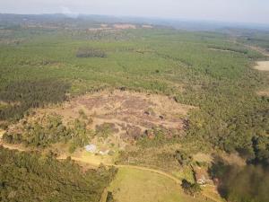 Balano Operao Nacional Mata Atlntica em P confirma desmatamento de 121 hectares de florestas
