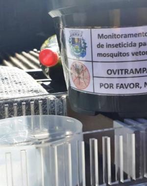 Agentes de Endemias de Goioerê instalam armadilhas Ovitrampas no Jardim Universitário
