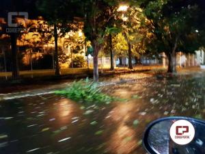 Chuva e ventos da madrugada deixam ruas e avenidas de Goioer com galhos e folhas espalhadas