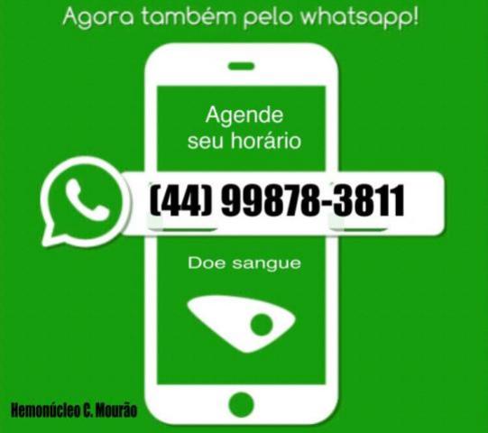 Hemoncleo de Campo Mouro agora conta com Whatsapp! Agende seu horrio!