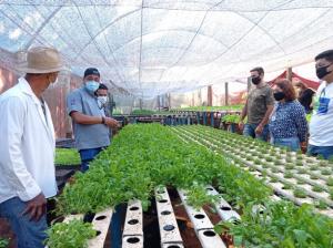 Projeto vai fomentar agricultura familiar em Goioer