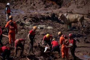 Nmero de mortos em rompimento de barragem sobe para 84 em Brumadinho