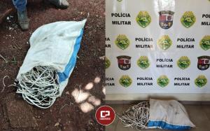 Polcia Militar de Juranda age rpido e prende autores aps furtarem uma fiao de um ptio da Prefeitura