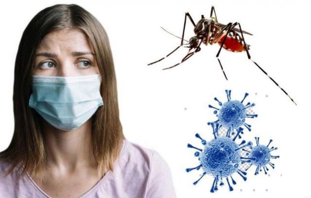 Secretaria de Sade divulga 4 Boletim Epidemiolgico com informaes sobre o Coronavrus e Dengue em Ubirat