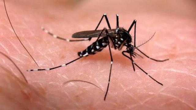 Dois casos de dengue confirmados em Ubirat