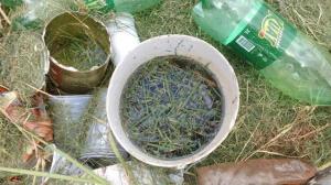 Limpeza em lotes evita proliferao do mosquito da dengue e outros insetos peonhentos em Ubirat