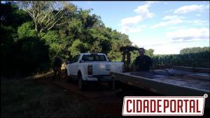 Policiais da Patrulha Rural prendem indivduo suspeito a roubo de caminhonete prximo ao Distrito de Yolanda