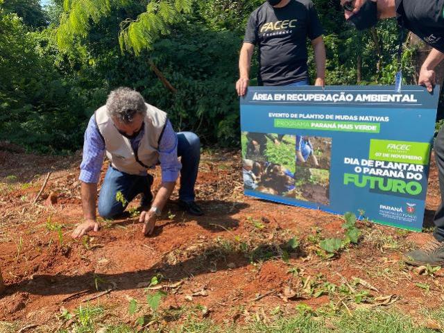 Paran Mais Verde planta 1.500 rvores em Cianorte