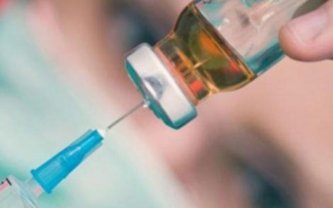 Testes da vacina contra zika em camundongos foram bem-sucedidos