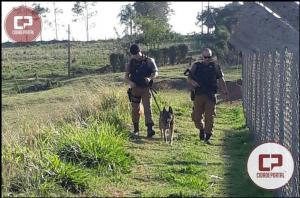 Polcia Militar do 7 BPM apreende armas, munies, celulares, drogas e dinheiro durante operao na cidade de Moreira Sales