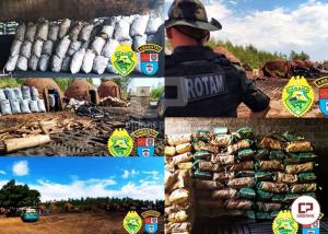 Polcia Ambiental apreende cerca de 12 toneladas de carvo em Guairaa