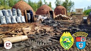 Polcia Ambiental apreende cerca de 12 toneladas de carvo em Guairaa