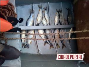 Polcia Ambiental de Umuarama prende dois pescadores amadores com 8,6 KG de peixe abaixo da medida