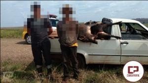 Dois caadores foram presos em Rancho Alegre pela Polcia Militar por caa ilegal
