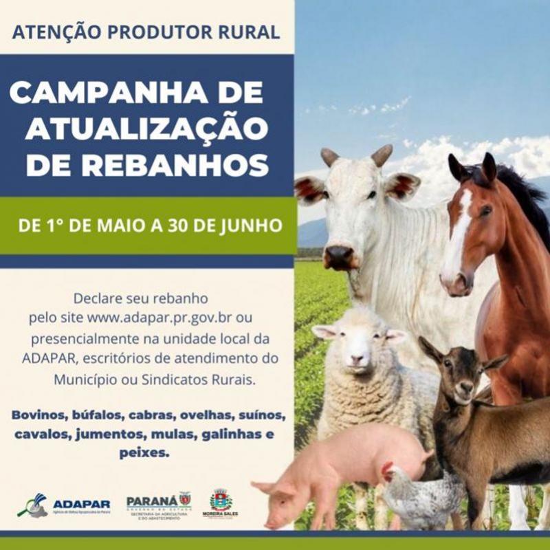 Campanha de atualização de rebanhos termina em 30 de junho no município de Moreira Sales